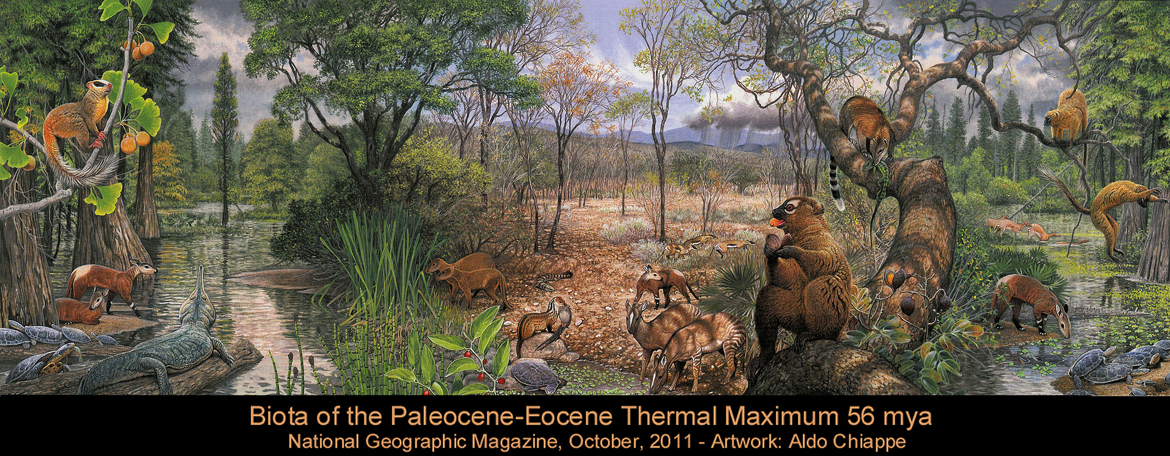 Fossil Focus: The First Mammals